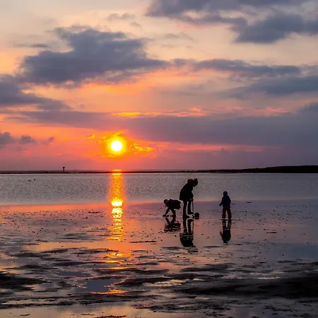 Ferienhaus Medemsand 17 *